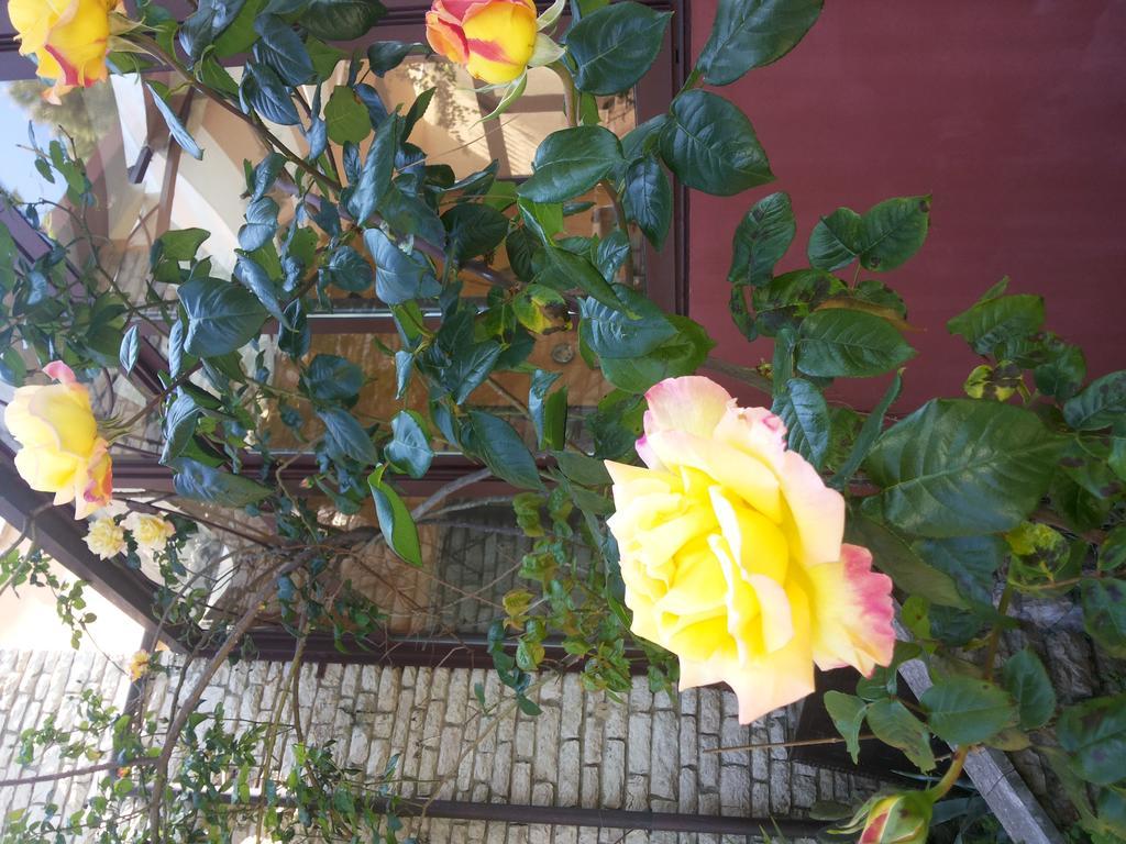 B&B Villa Acero Marina Di Carrara Eksteriør bilde