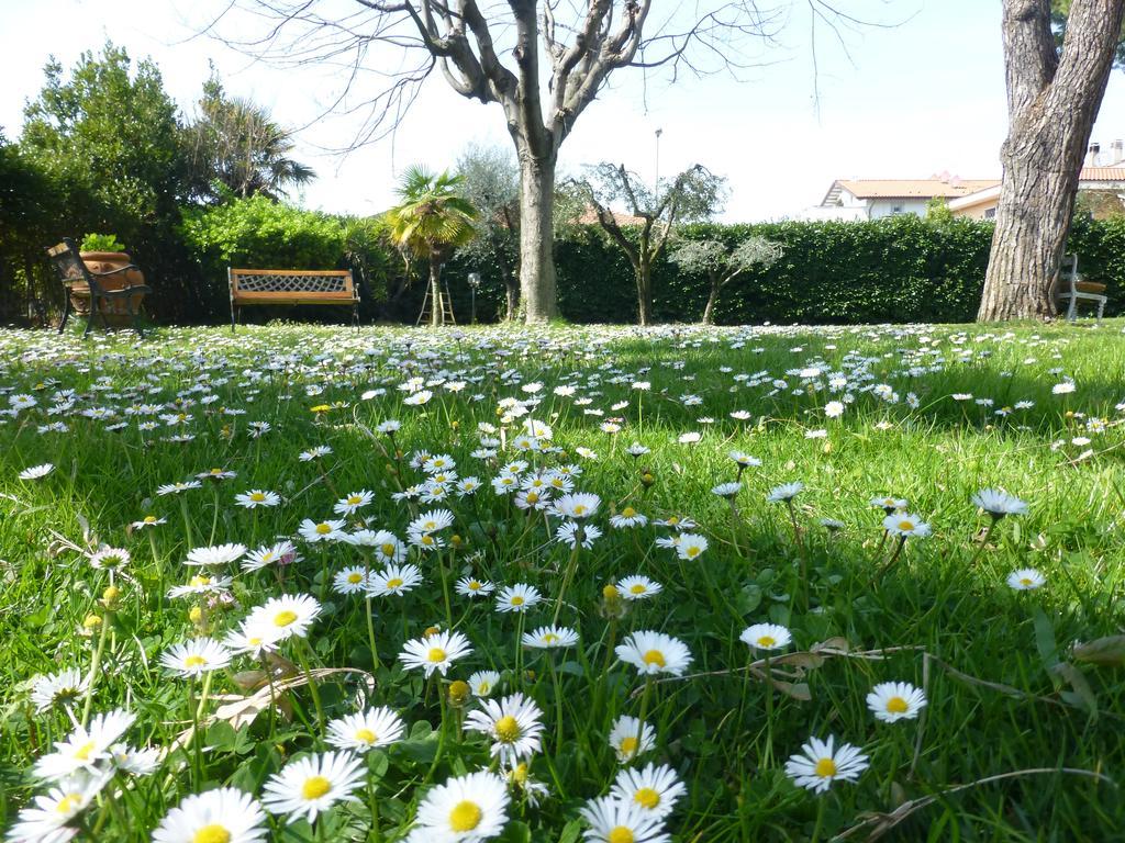 B&B Villa Acero Marina Di Carrara Eksteriør bilde